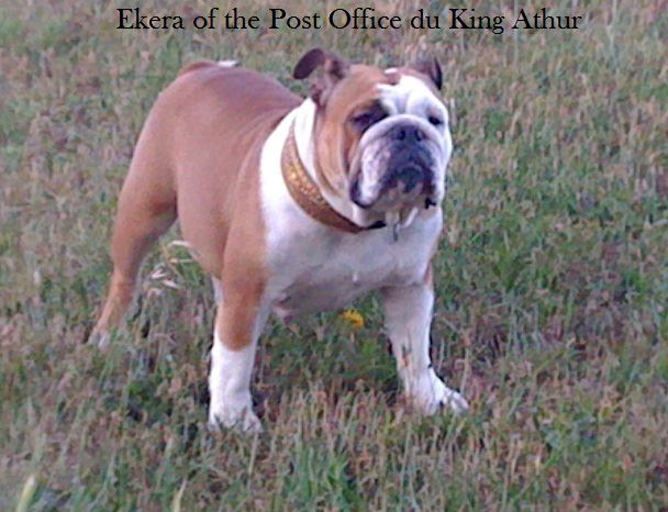 Ekera of the post office du King Arthur